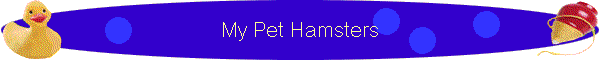 My Pet Hamsters